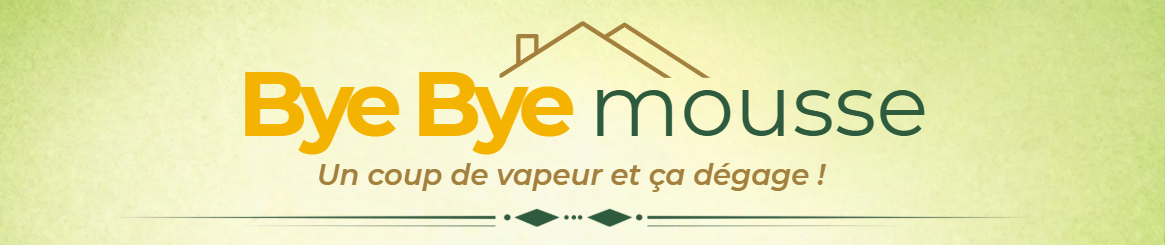 Logo ByeBye Mousse